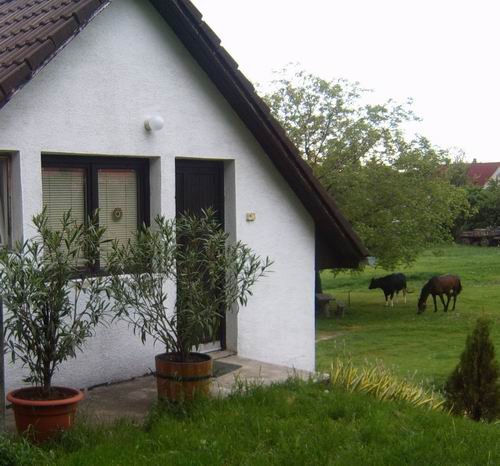 S4300033.JPG